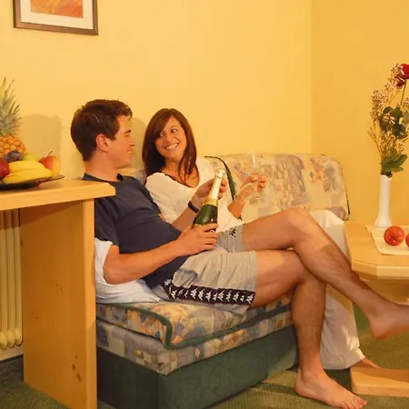 埃尔菲布里克阿尔卑旅馆 4*