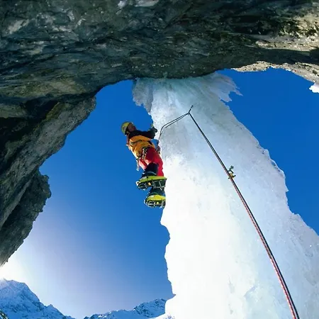 埃尔菲布里克阿尔卑旅馆 4*